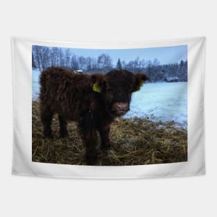 Scottish Highland Cattle Calf 1635 Tapestry