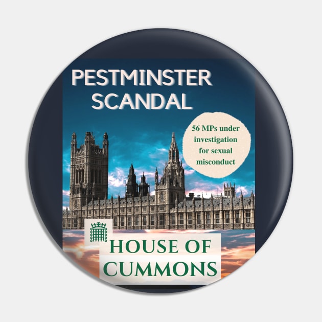 UK Politics Pestminster Scandal Pin by Never Mind The Bedsocks
