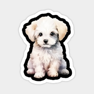 Puppy Bichon Frise Magnet