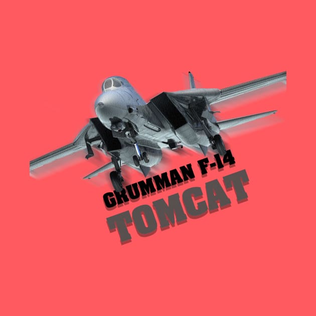 F-14 "Tomcat" by Caravele