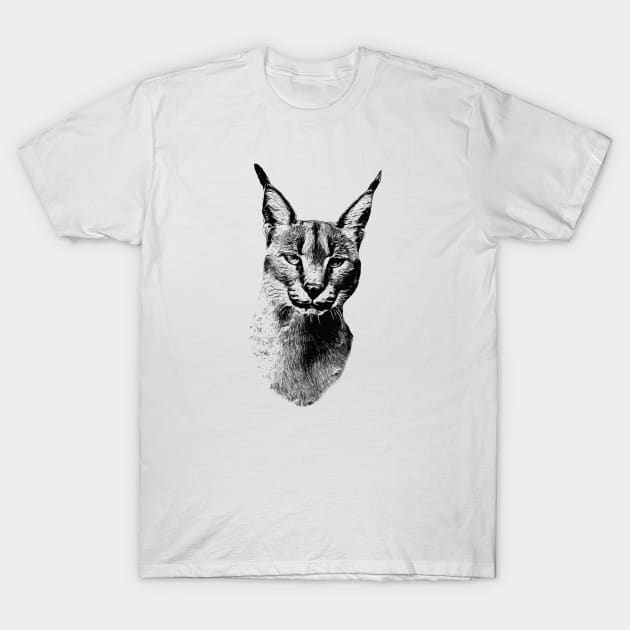 Big Floppa Meme Cat Caracal Cool Cats Caracals Lover Men's Back Print  T-shirt