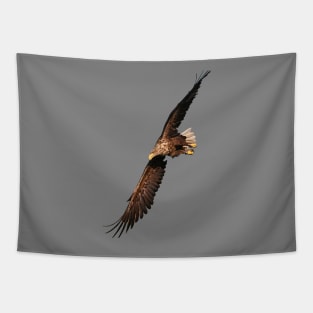 White tailed Eagle Tapestry