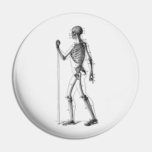 Side View Skeletal Diagram - Vintage Anatomy Pin