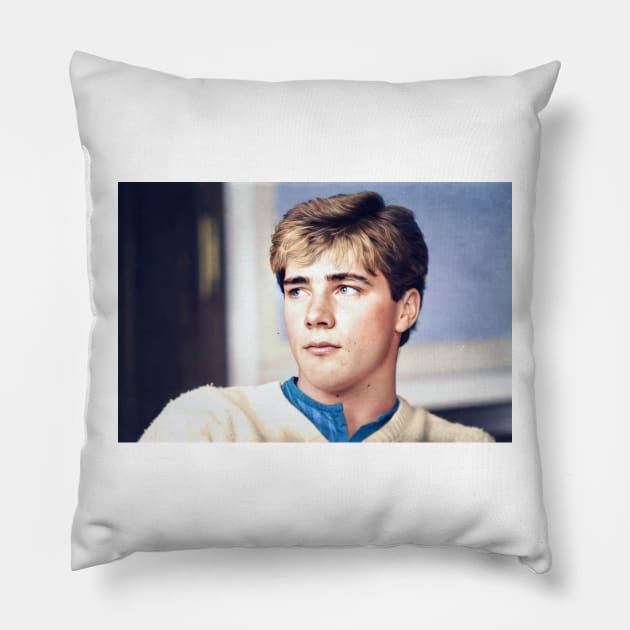 Super Ally Pillow by AndythephotoDr