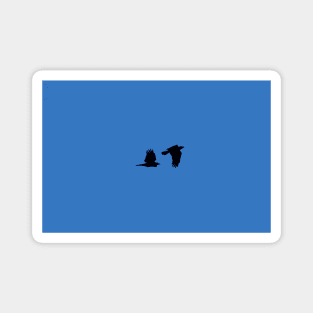 Two Ravens Flying Blue Sky Magnet