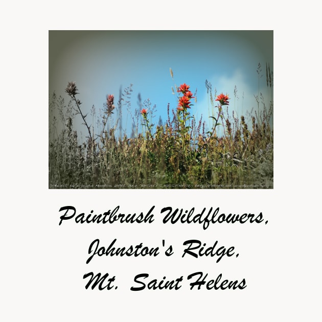 paintbrush wildflowers, Johnston's Ridge by DlmtleArt