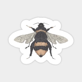 Bee, the gardener's friend. Buzzing! Magnet