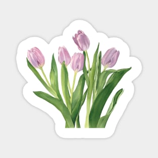 Pink tulips Magnet