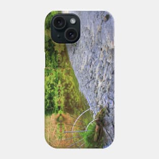 Almond Weir II Phone Case