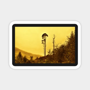 Tall Pine Silhouette Magnet