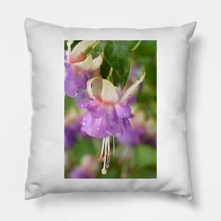 Fuchsia 'Prince George' Pillow