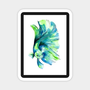 Betta Fish Green Magnet