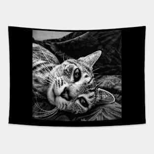 Cat Crisis Tapestry