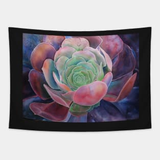 succulent Tapestry