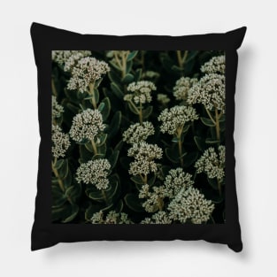 Small flowers in a botanical garden Pillow