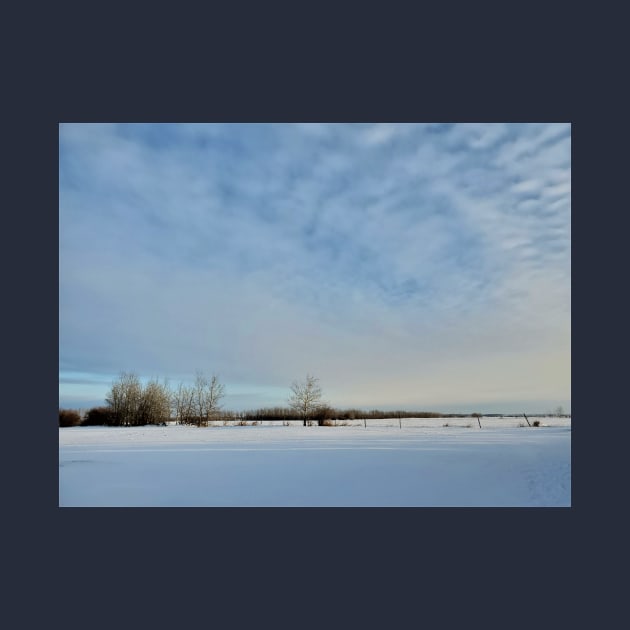Alberta Winter 02 by Kyarwon
