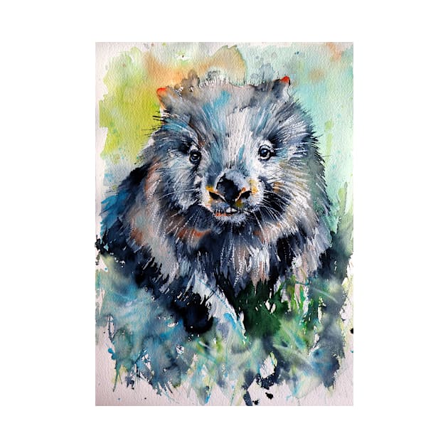 Wombat II by kovacsannabrigi
