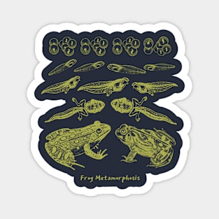 Frog Metamorphosis: The Tale of Frog-Inspired Transformations Magnet