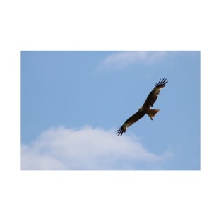 Falcon flying in a Blue Sky T-Shirt