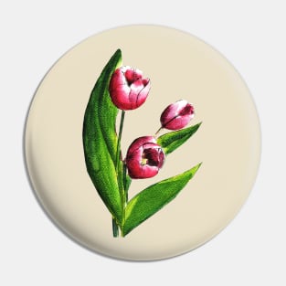 Pink Tulip Flowers Watercolor Painting Pin