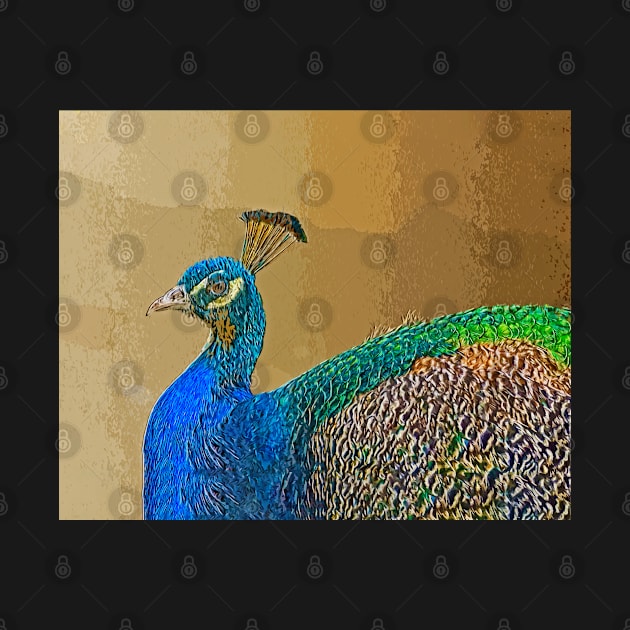 Colorful peacock at the zoo by NxtArt