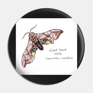 Eyed Hawk Moth drawing Pin