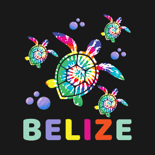 Belize Sea Turtle / Belize T-Shirt