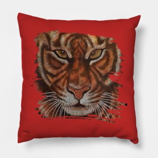 Tiger face Pillow