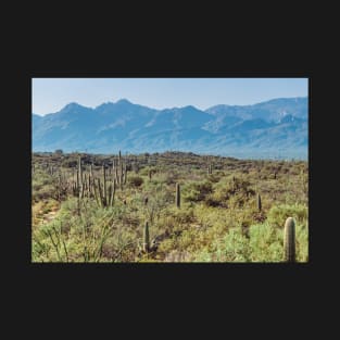 Saguaro National Park T-Shirt