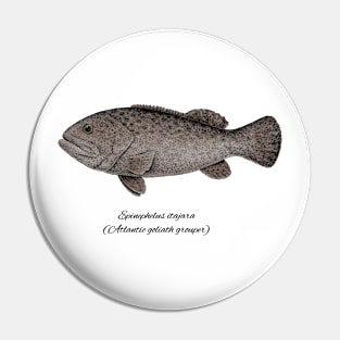 EPINEPHELUS ITAJARA Pin