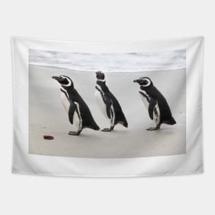 Magellanic Penguins on the Beach Tapestry