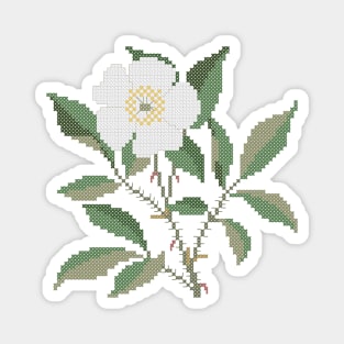 Georgia State Flower Cherokee Rose Magnet