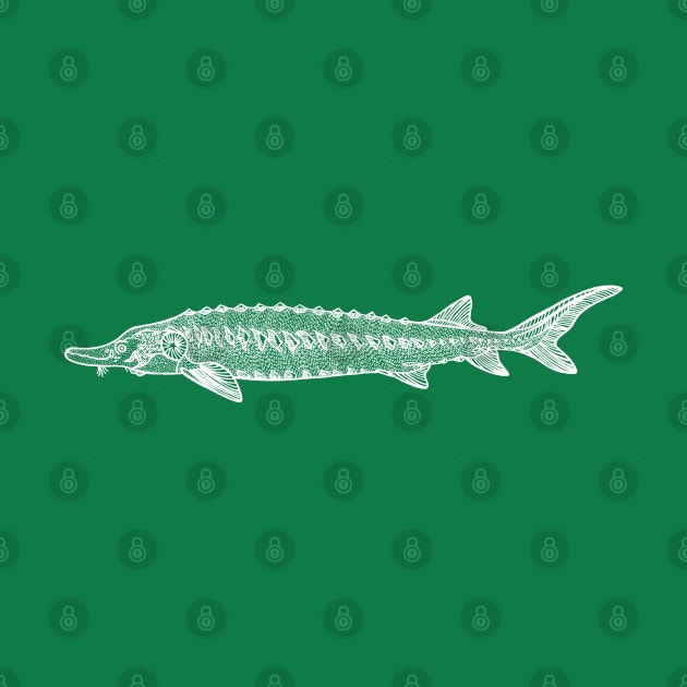 European Sea Sturgeon hand drawn fish design by Green Paladin