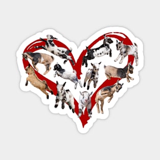 Heart Baby Goats Magnet