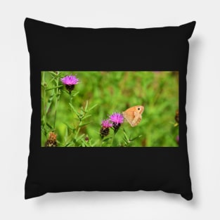 Ringlet Butterfly Pillow