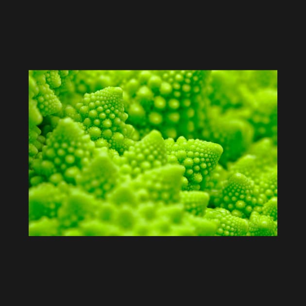 Macro Romanesco Broccoli by somadjinn