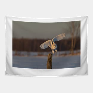 Snowy Owl taking off Tapestry