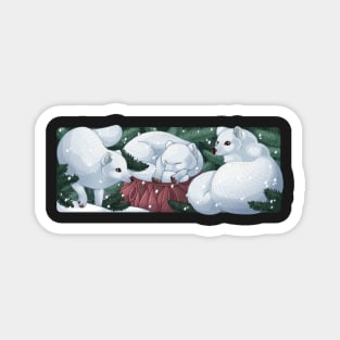 Arctic foxes Magnet