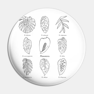 Monstera genus Pin