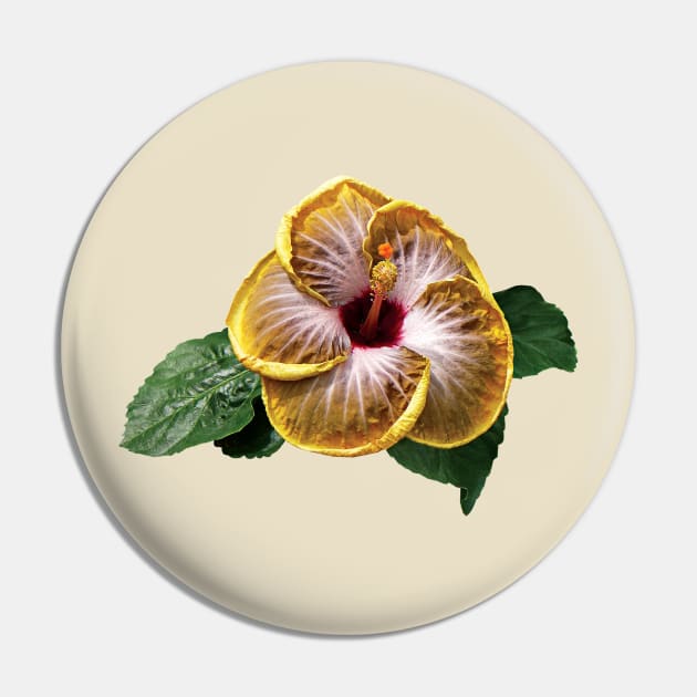 Hibiscus - Hibiscus Fifth Dimension Pin by SusanSavad