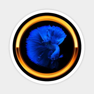 Blue Fighter Fish Magnet