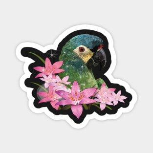 Severe Macaw Magnet