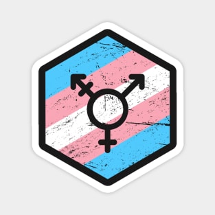 Retro Vintage Transgender Trans Icon Magnet