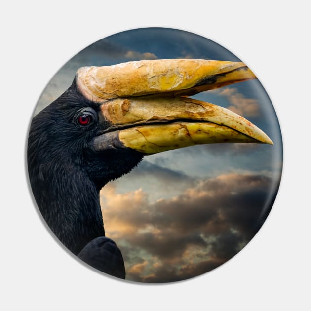 Rhinoceros Hornbill Pin by Adrian Evans Photography