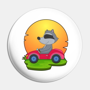 Racoon Car Pin