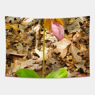 Pink Lady Slippers Tapestry