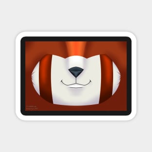 Red Panda Mask Magnet