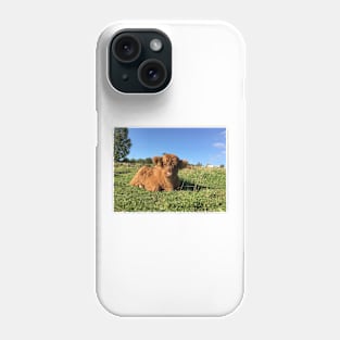 Scottish Highland Cattle Calf 1528 Phone Case