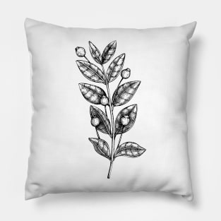 Myrtle Pillow