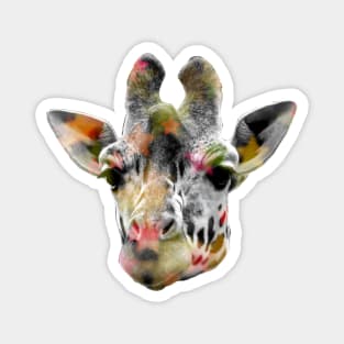 Giraffe Disco Magnet